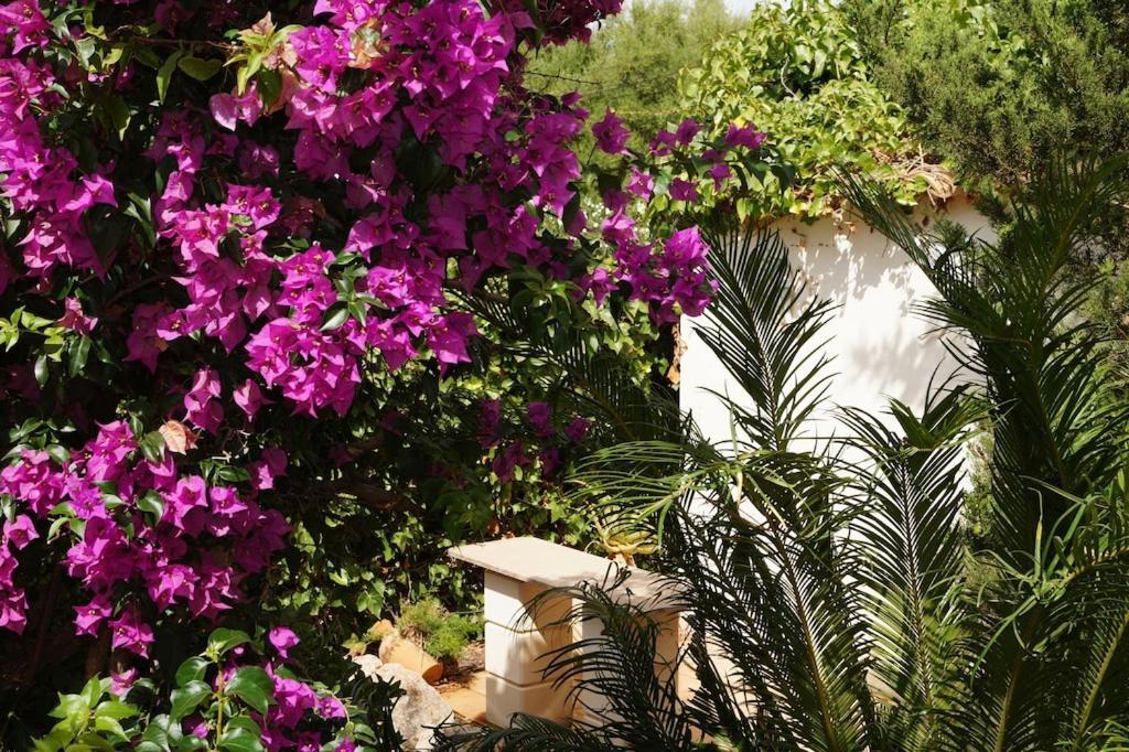 Villa Cala Mendia Cala Mandia  Luaran gambar