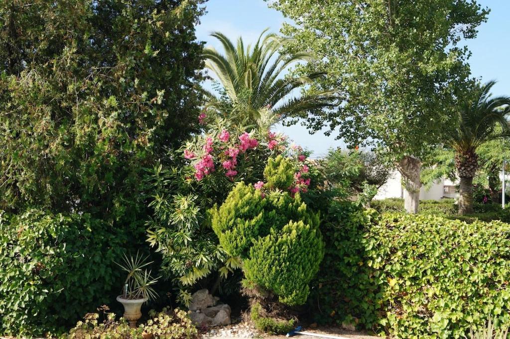 Villa Cala Mendia Cala Mandia  Luaran gambar